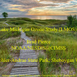 screenshot of LMOS YouTube Thumbnail with a wooden path through tall grass