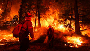firefighters in the middle of a forest fire