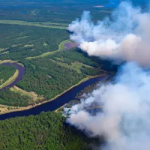 Aerial view of a forest fire.